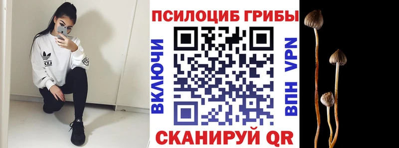 Псилоцибиновые грибы MAGIC MUSHROOMS  Далматово 