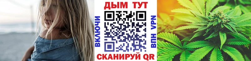 МАРИХУАНА Amnesia  где можно купить   Далматово 